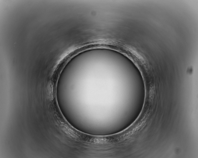 X0000100861310200806271150