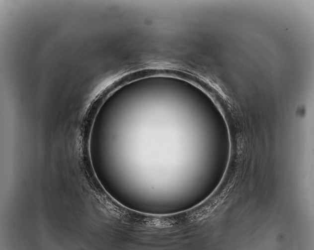 X0000100861311200806271150