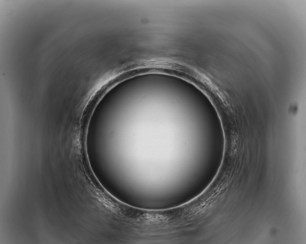 X0000100861312200806271150