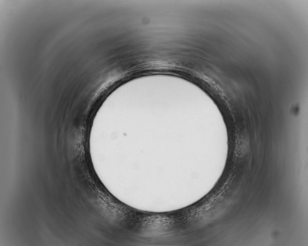 X0000100861314200806271150