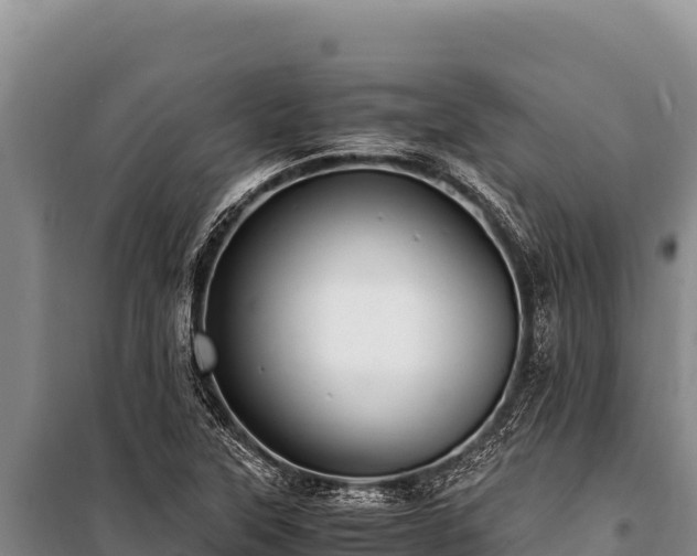 X0000100861315200806271150