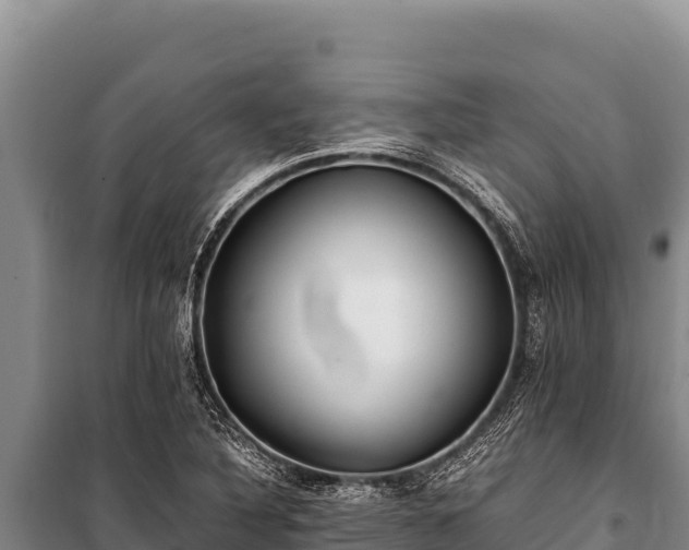 X0000100861316200806271150