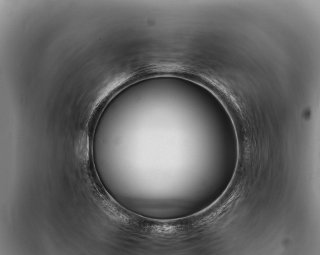 X0000100861317200806271150