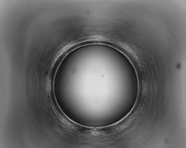 X0000100861318200806271150