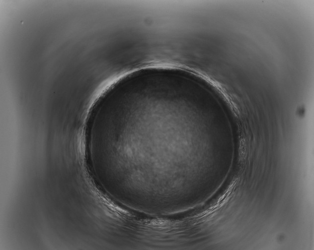 X0000100861319200806271150