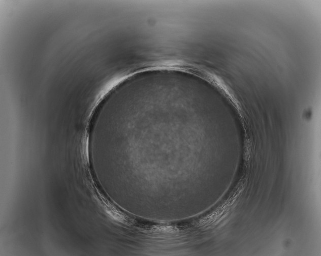 X0000100861320200806271150