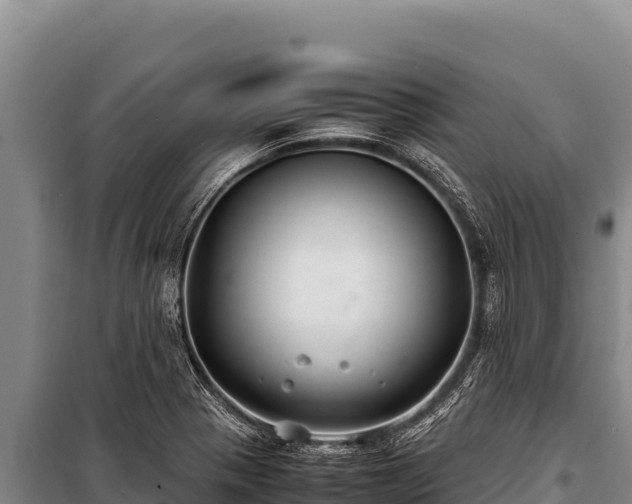 X0000100861321200806271150