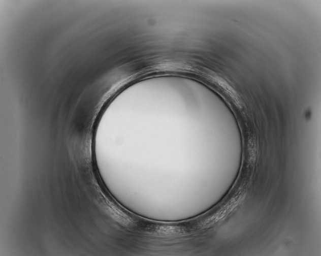 X0000100861322200806271150