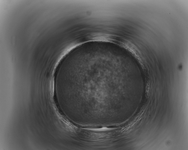 X0000100861323200806271150