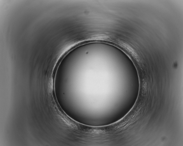 X0000100861324200806271150