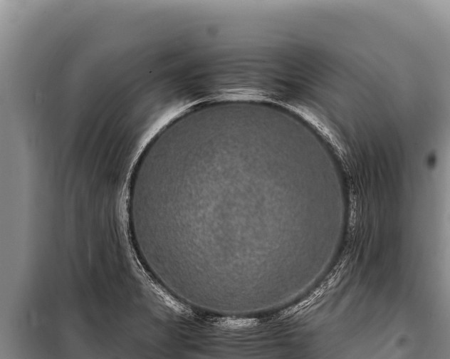 X0000100861325200806271150