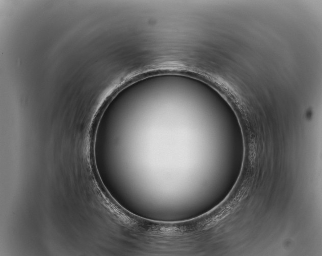 X0000100861326200806271150