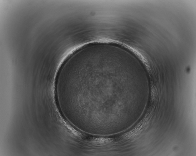 X0000100861327200806271150