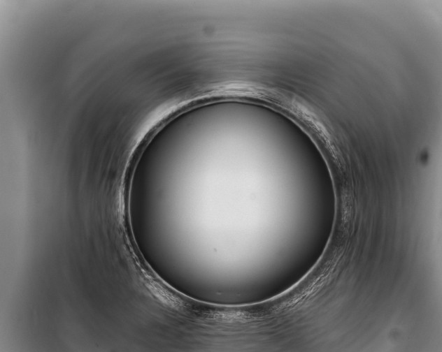 X0000100861328200806271150