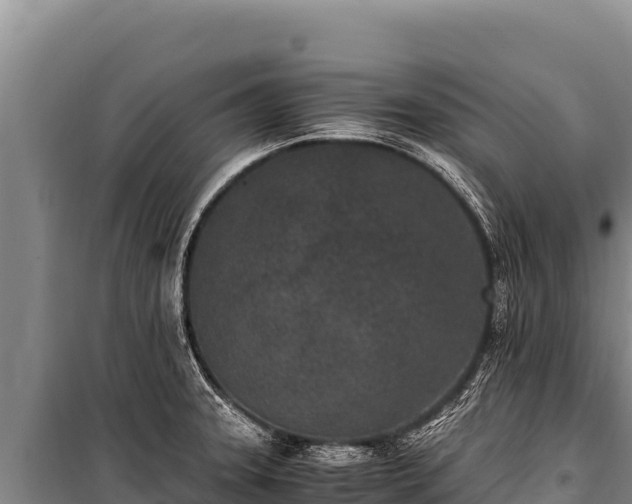 X0000100861331200806271151