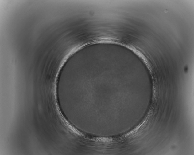 X0000100861333200806271151