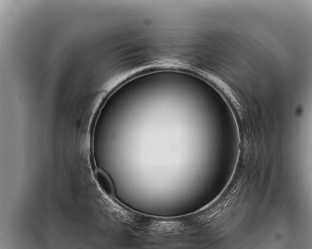 X0000100861335200806271151