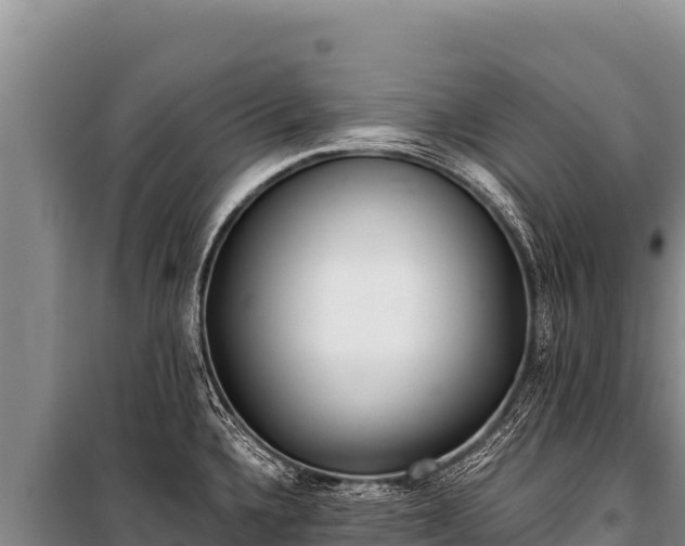 X0000100861336200806271151