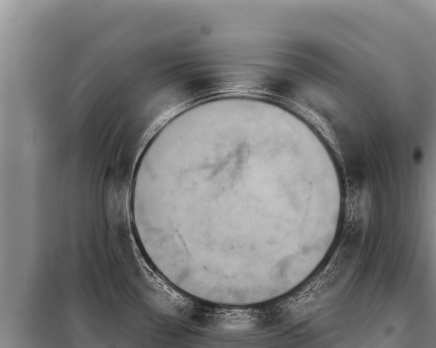 X0000100861338200806271151