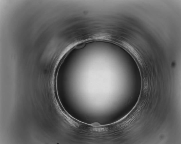 X0000100861339200806271151