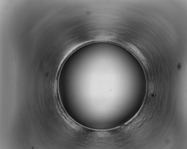 X0000100861340200806271151