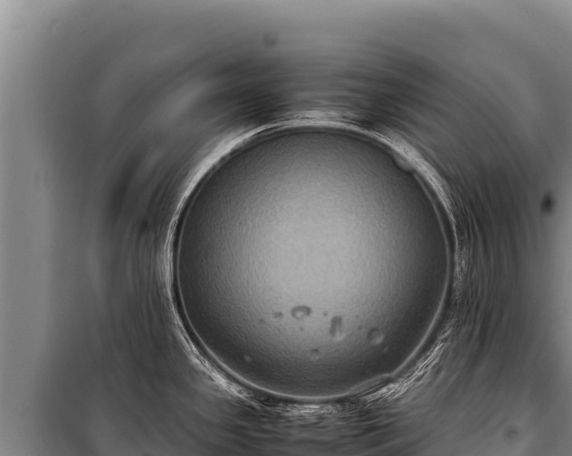 X0000100861341200806271151