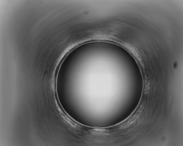 X0000100861342200806271151