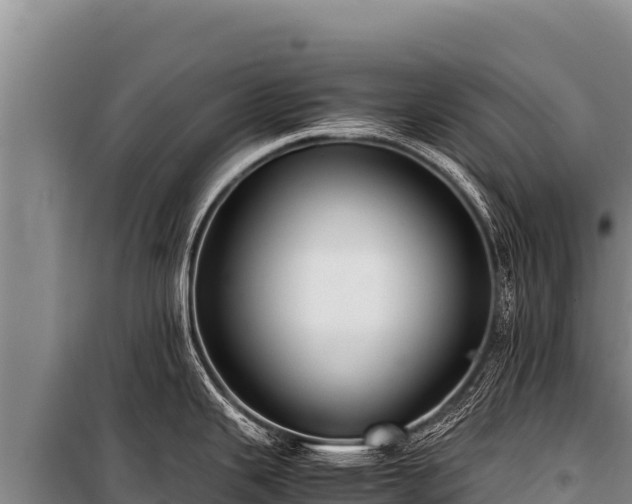 X0000100861343200806271151