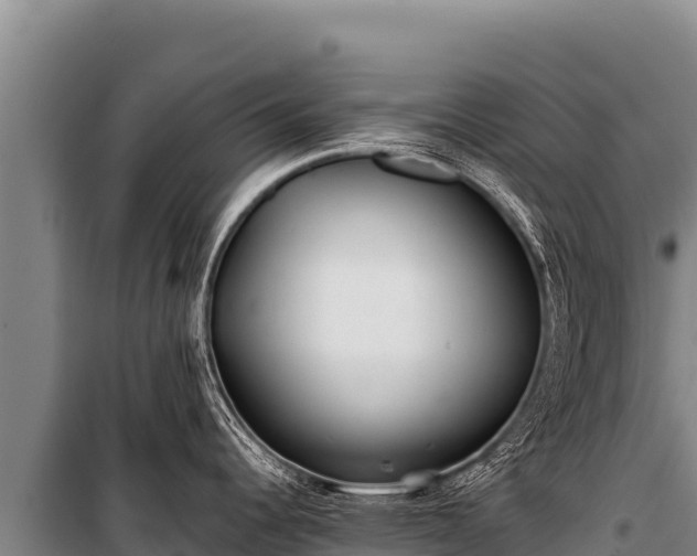 X0000100861344200806271151