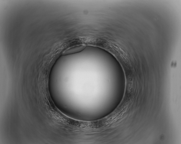 X0000100861345200806271150