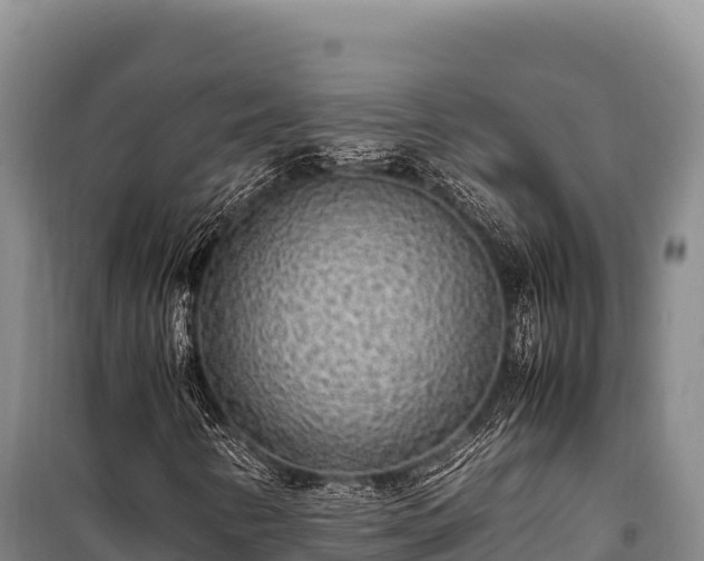 X0000100861346200806271150