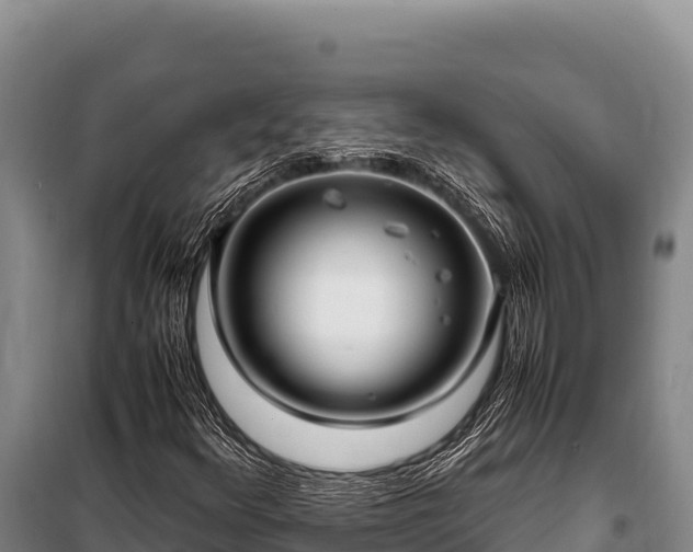 X0000100861348200806271150