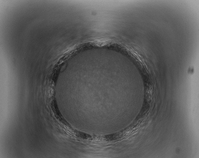 X0000100861349200806271150