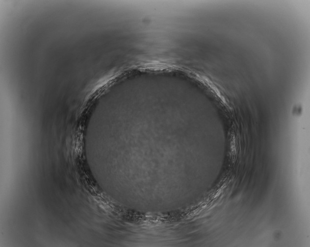 X0000100861350200806271150