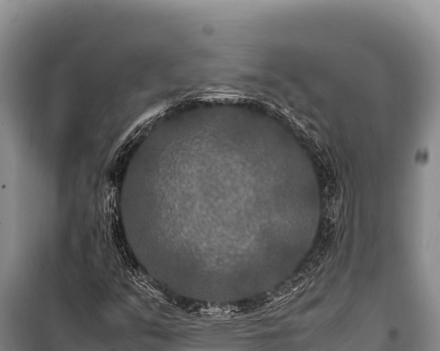 X0000100861351200806271150