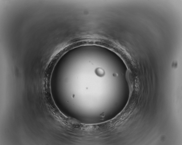 X0000100861352200806271150