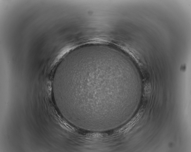 X0000100861355200806271150