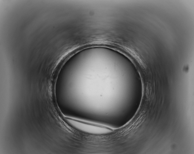 X0000100861356200806271150