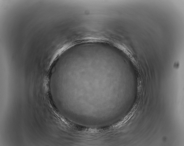 X0000100861357200806271150