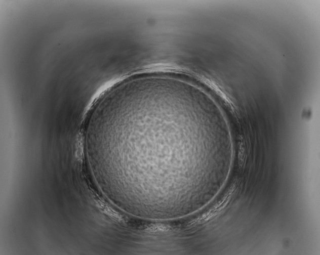 X0000100861358200806271150