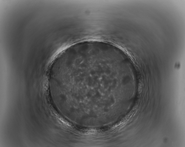 X0000100861359200806271150