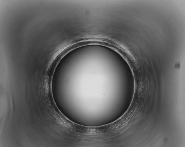 X0000100861360200806271150