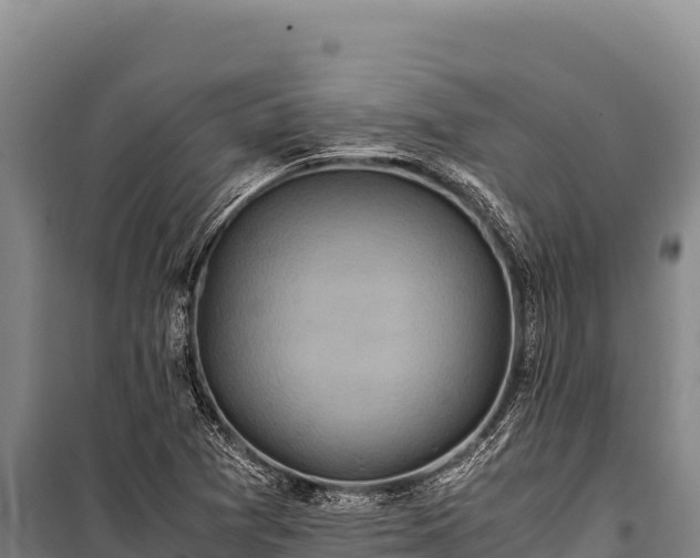 X0000100861361200806271150