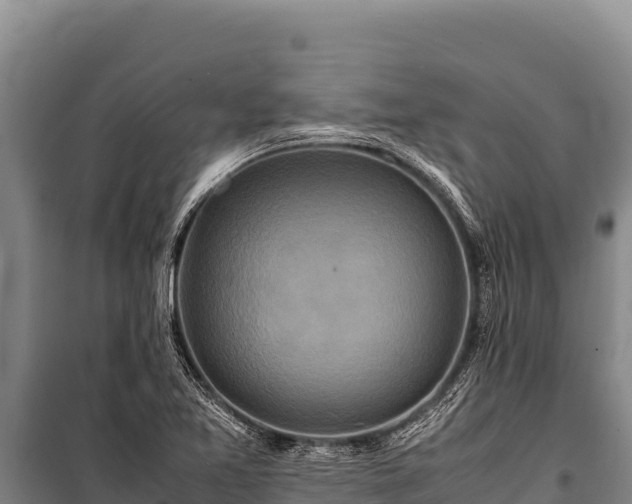 X0000100861365200806271150