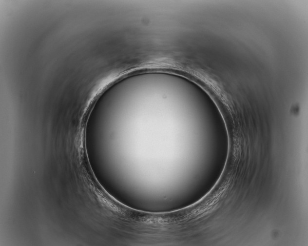 X0000100861366200806271150