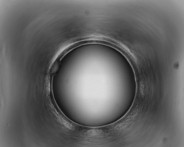 X0000100861368200806271150