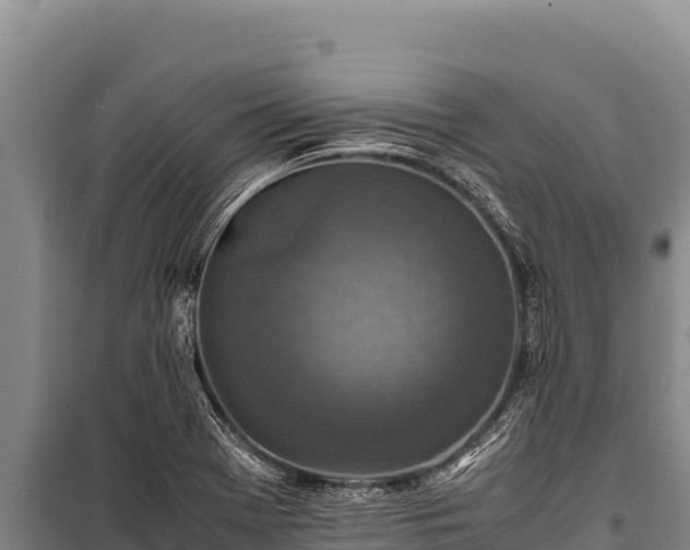 X0000100861369200806271150