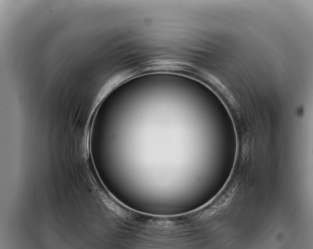 X0000100861370200806271150