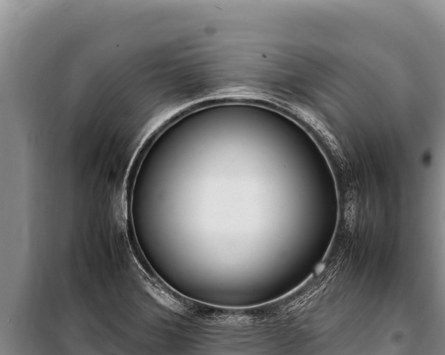 X0000100861372200806271149