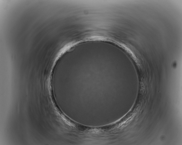 X0000100861373200806271149